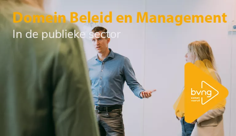 Domein B&M in de publieke sector