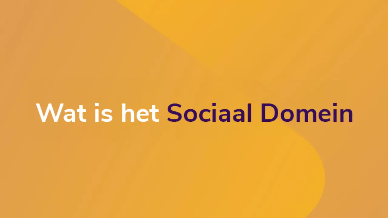 Sociaal Domein betekenis
