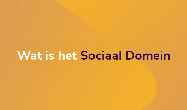 Sociaal Domein betekenis